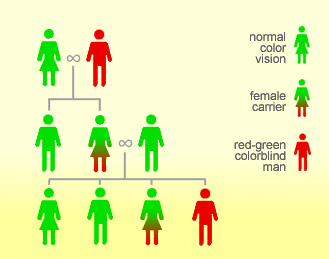 What are the different ways in which a genetic condition can be